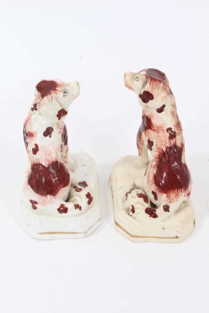 Small pair of Staffordshire models of spaniels, c.1840, 7.5cm height - Image 2 of 5