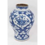 Chinese blue and white vase