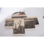 Group of five postcards showing the damage caused by the Atomic bomb at Hiroshima together with othe