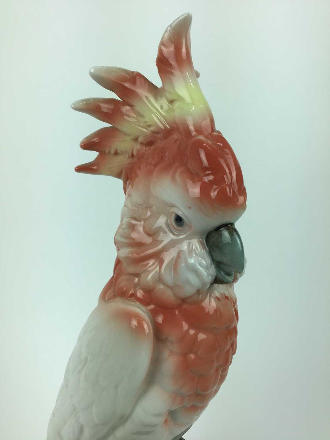 Royal Dux model of a Cockatoo, pink triangle mark to base, 41cm high - Image 2 of 5