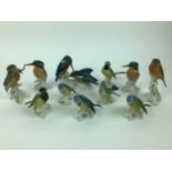 Collection of eleven Karl Ens porcelain birds