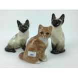 Three Winstanley cats