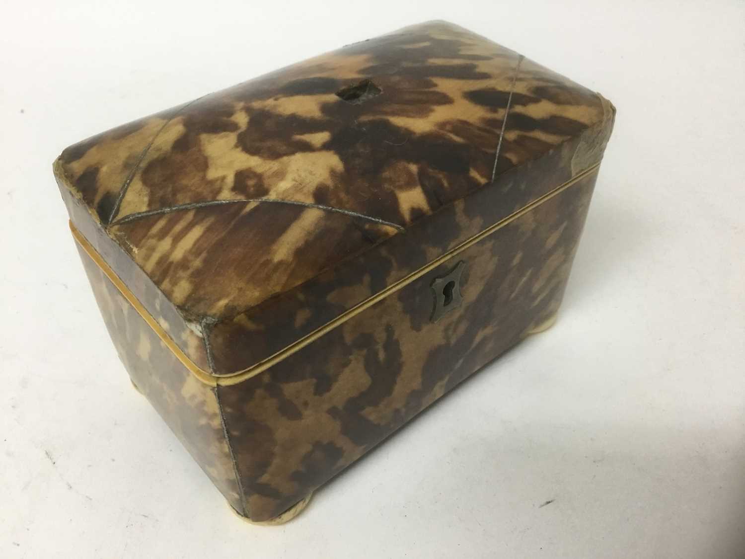 Regency blond tortoiseshell tea caddy