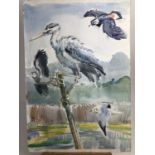 Peter Partington, contemporary, collection of eleven unframed watercolours - assorted birds to inclu