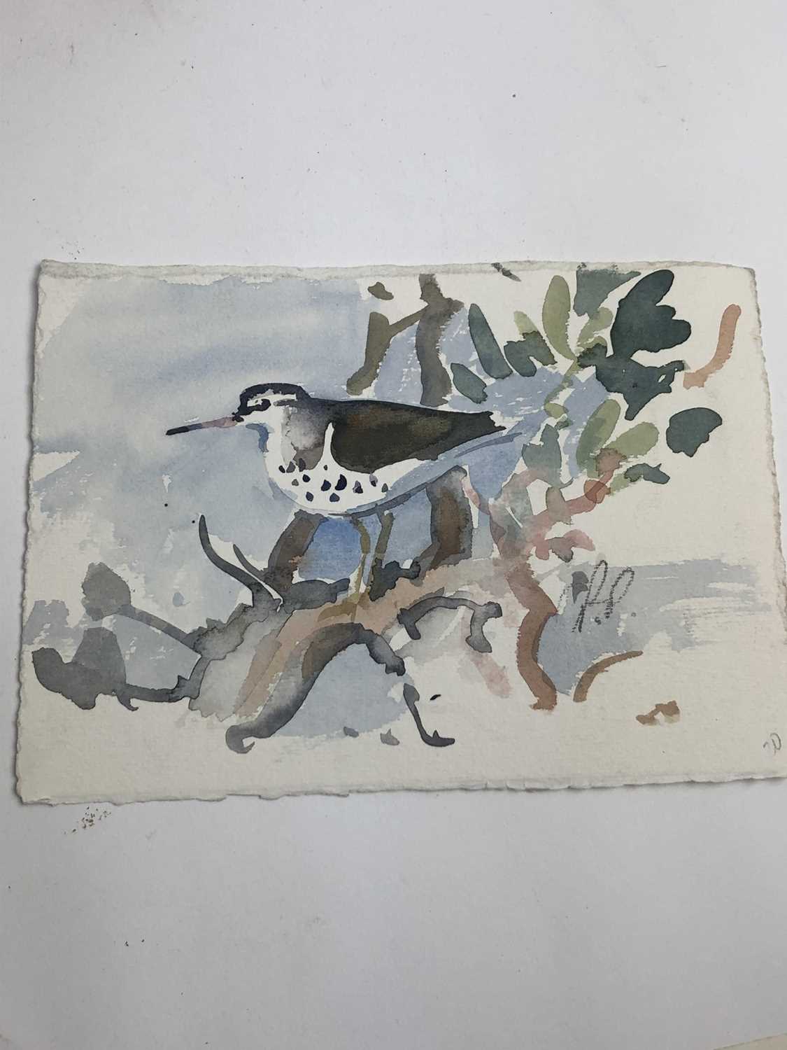 Peter Partington, contemporary, collection of eleven unframed watercolours - assorted birds to inclu - Image 2 of 11