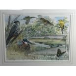 Peter Partington, contemporary, pencil and watercolour illustration - Birds and Marshes from 'Birds