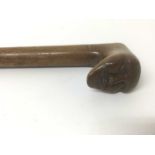 Antique yew wood walking stick