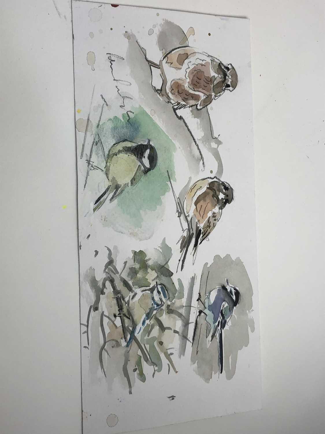 Peter Partington, contemporary, collection of eleven unframed watercolours - assorted birds to inclu - Image 8 of 11