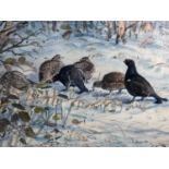 Peter Partington, contemporary, watercolour - Black Grouse in Winter, signed, in glazed gilt frame,