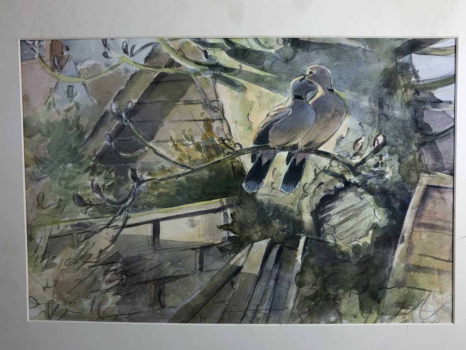 Peter Partington, contemporary, collection of eleven unframed watercolours - assorted birds to inclu - Image 10 of 11