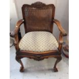 1920s mahogany open elbow chair with caned back, on carved claw and ball feet