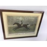 After Sartorius, colour mezzotint, Lurcher, plate 25 x 35cm, glazed frame