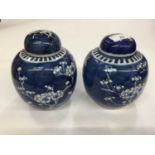 Pair of Chinese blue and white porcelain prunus ginger jars and covers