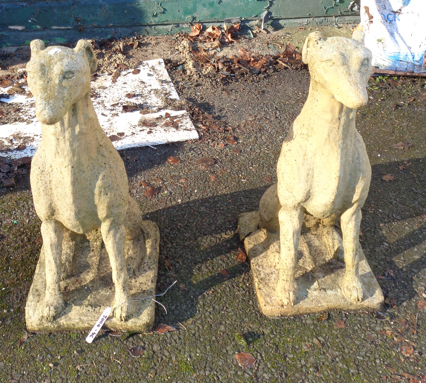 A pair of seated dog garden statues - one base a/f
