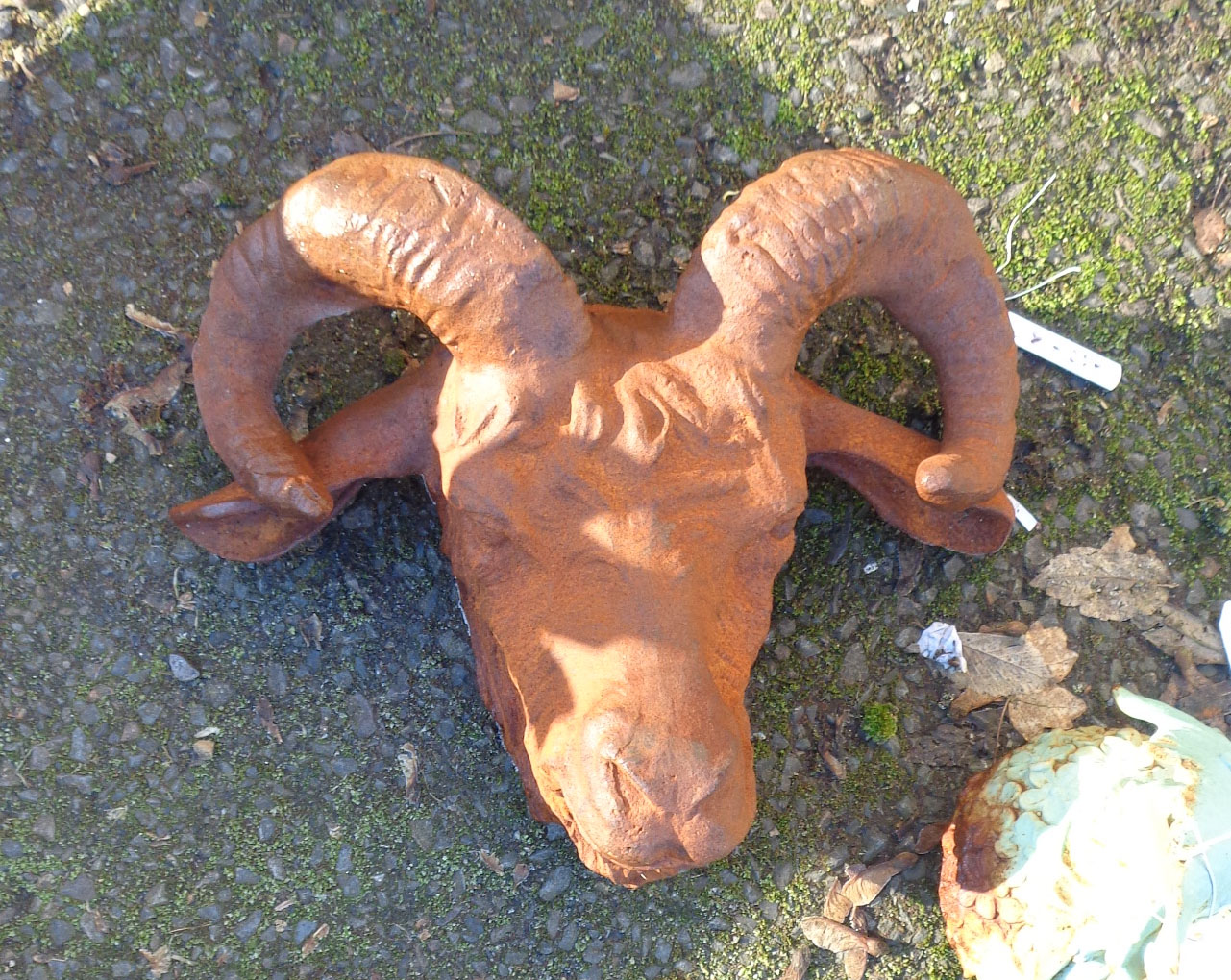 A cast iron garden ram's head with rusted finish