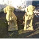 A pair of seated dog garden statues