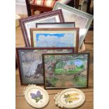 A quantity of framed decorative pictures and prints, also two modern hand painted wall plaques