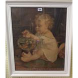 A white painted framed Pear's print depicting a child dangling a pocket watch into a goldfish bowl -