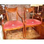 A pair of reproduction mahogany framed elbow chairs with swept armrests and corduroy upholstered