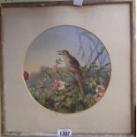 A 19th Century gilt framed watercolour in circular mount depicting a song thrush singing on a branch