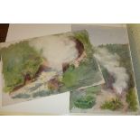 Two unframed watercolours, depicting New Zealand views at Wairaki, one entitled "Great Wairaki", the