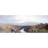 Reginald Daniel Sherrin: a painted framed gouache, depicting an extensive moorland landscape with