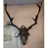 A mounted stag's head - a/f