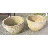 Two plant pots