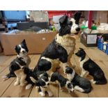 A box containing a Border Fine Arts large resin border collie figurine, sold with a Country