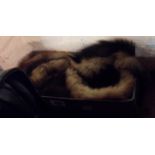 A mink fur stole