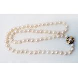 A single string of uniform cultured pearls with marked 375 yellow metal clasp