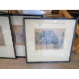 Wallace Hester: a set of four framed Dulwich view prints - faded to buff