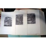 Peter Reddick: three unframed monochrome woodblock prints depicting landscapes and birds in