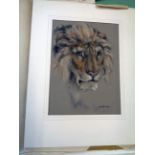 R. A. Vandenburgh: an unframed mounted pastel drawing study of a lion's head