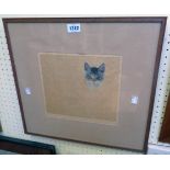 A framed coloured etching, depicting a kitten's head and loose sketch outline of body - signed in