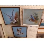 R.L. Perkins: three framed watercolour bird paintings including Kingfisher