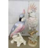 A Royal Dux porcelain cockatoo figure - sold with a Crown Staffordshire model of a cockatoo (glued