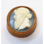 A 4cm oval shell cameo with slate backing depicting the bust of Plato, set in a gilt rim card