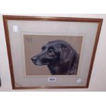Donald Wood: a framed 1933 pastel drawing of the head and shoulders of a black dog - signed and