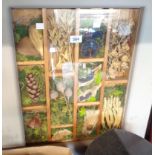 A box framed kitchen display of pods and fruits, etc.