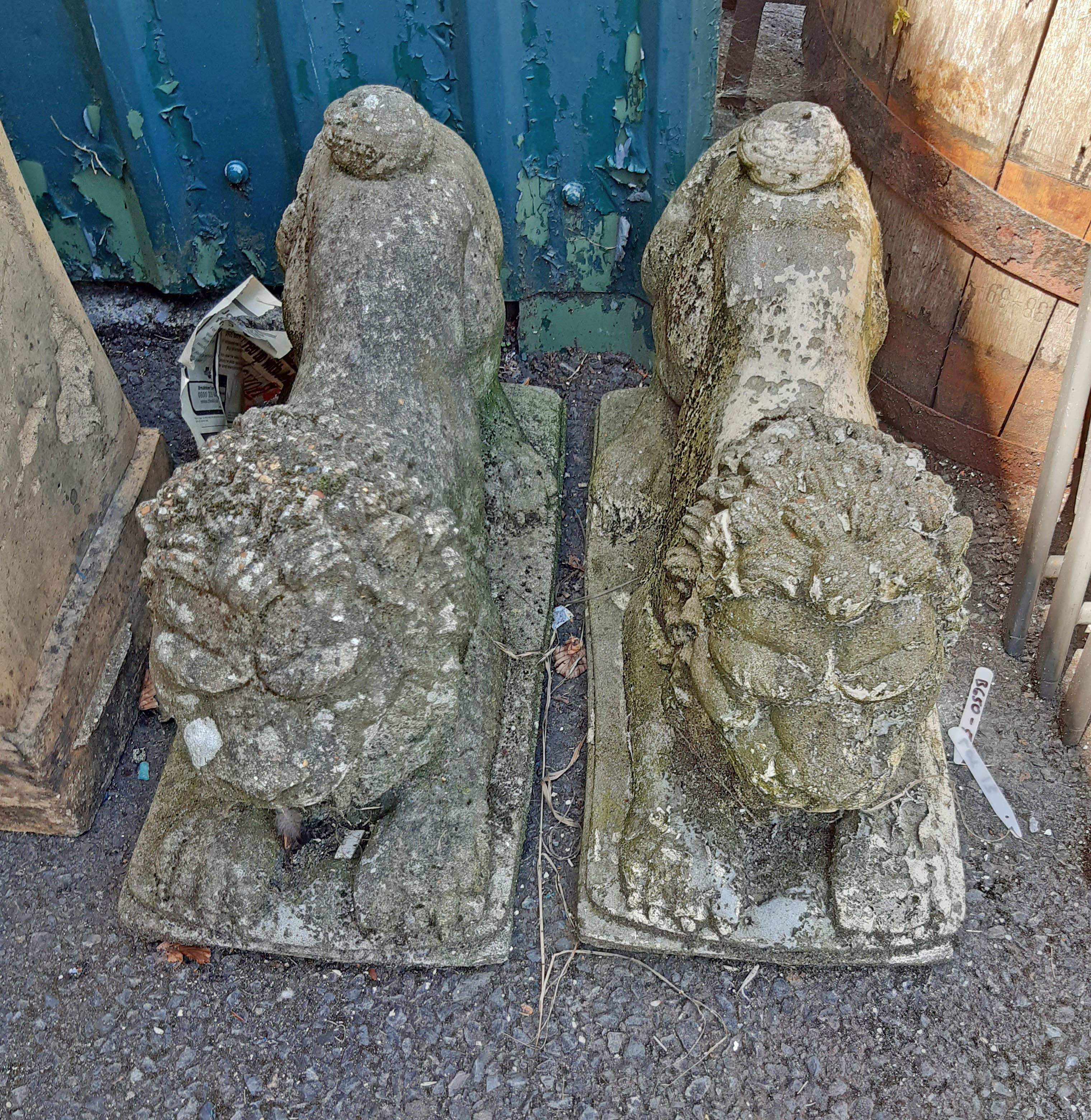 A pair of concrete lions