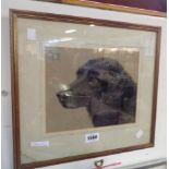 Donald Wood: a framed 1933 pastel drawing of the head and shoulders of a black dog - signed and