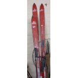 Two pairs of Red Master Tyrolya Fischer Austrian vintage skis and poles
