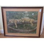 Simon Coombes: three framed large format African big cat coloured prints - sold with another by