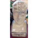 A reproduction china phrenology head