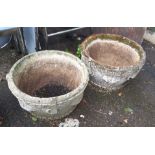 A pair of circular concrete garden planters with grapevine decoration
