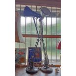 Two Vintage Anglepoise Lamps