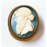 A 4cm oval shell cameo with slate backing depicting the bust of Plato, set in a gilt rimmed card