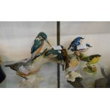 A Karl Ens porcelain kingfisher figurine - sold with two other examples (one a/f), and two further