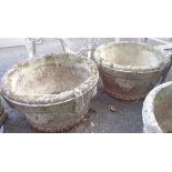 A pair of circular concrete garden planters with grapevine decoration